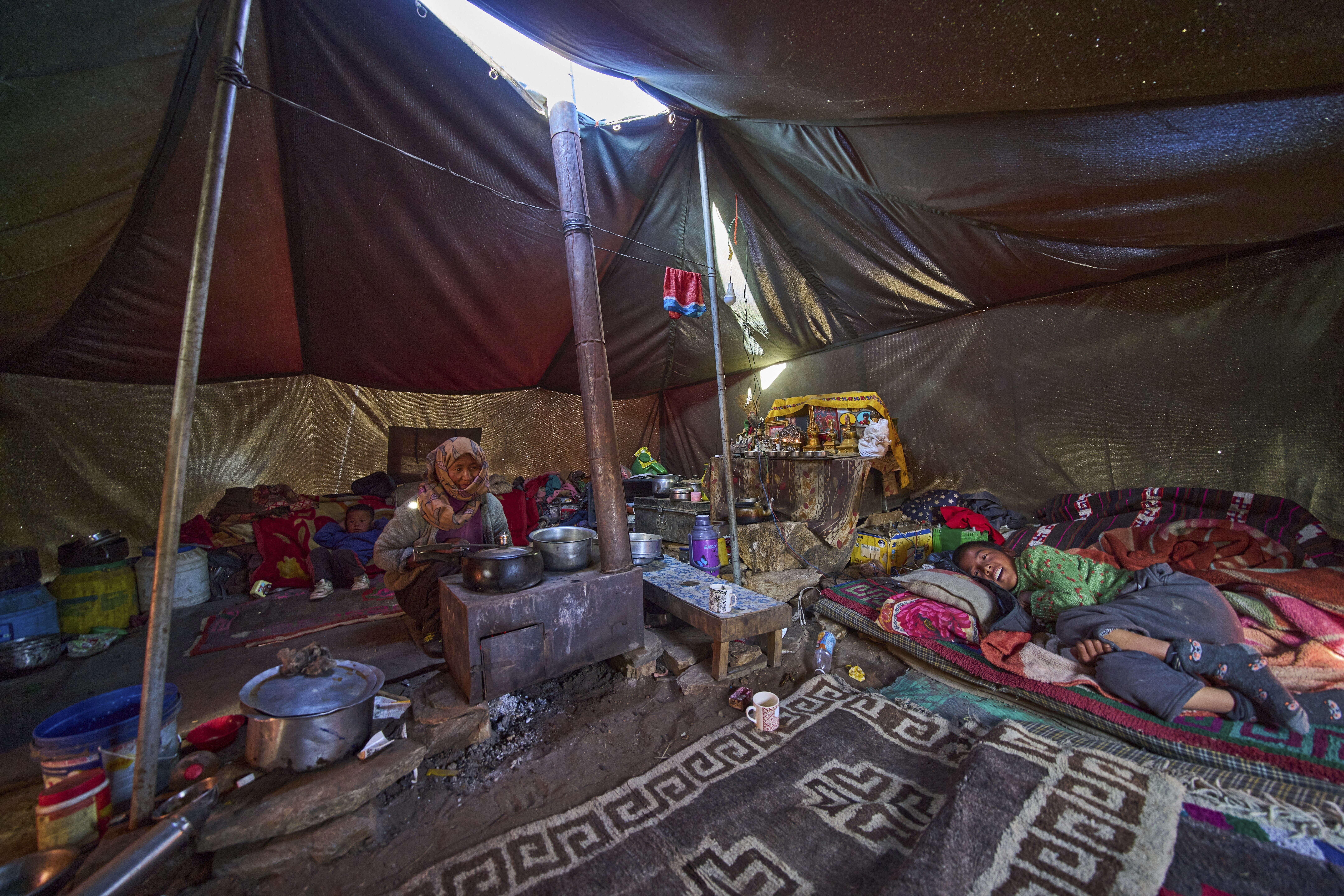 Climate change threatens yaks and the herding way of life