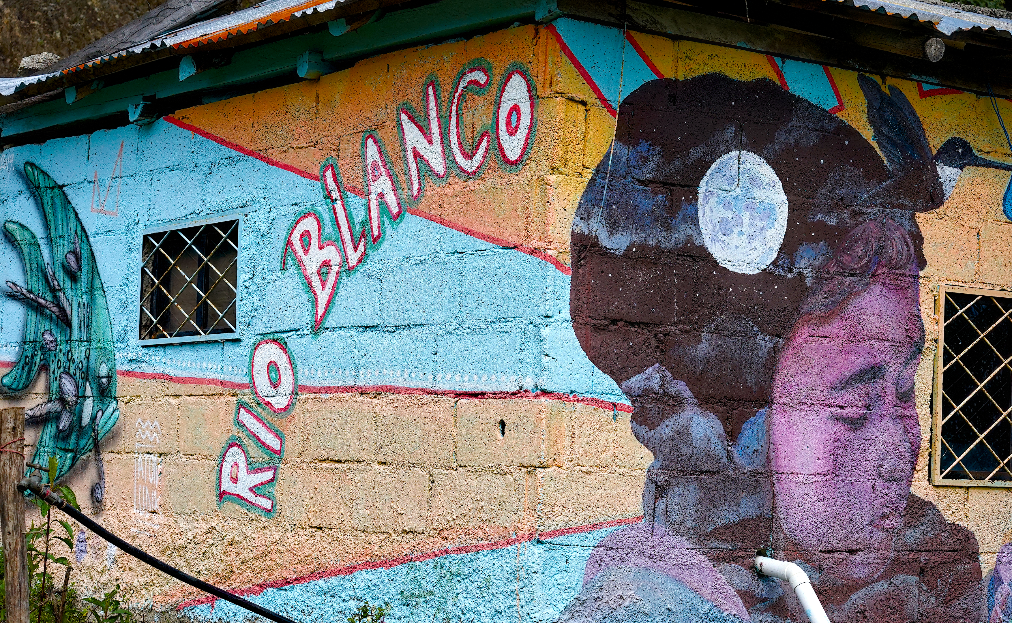 A mural with a woman's face and the name "Rio Blanco."