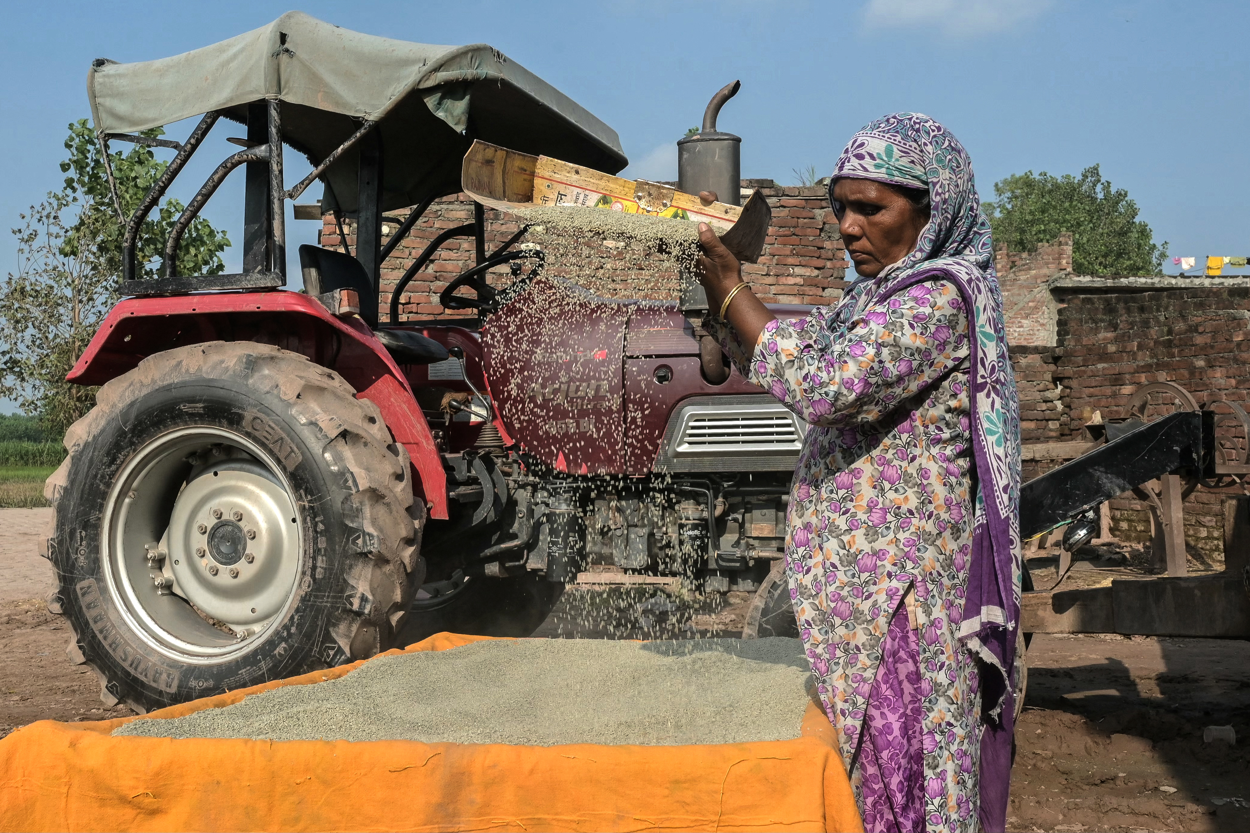 Floods devastate India's breadbasket of Punjab