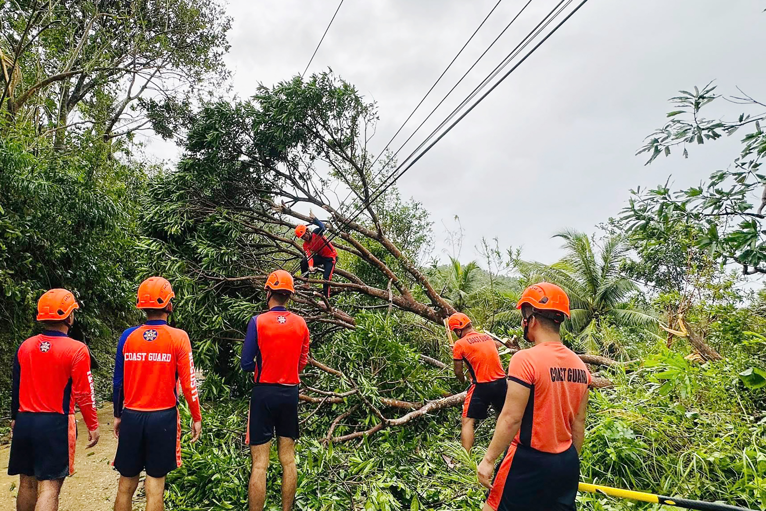 Typhoon Bualoi kills dozens in Vietnam and Philippines
