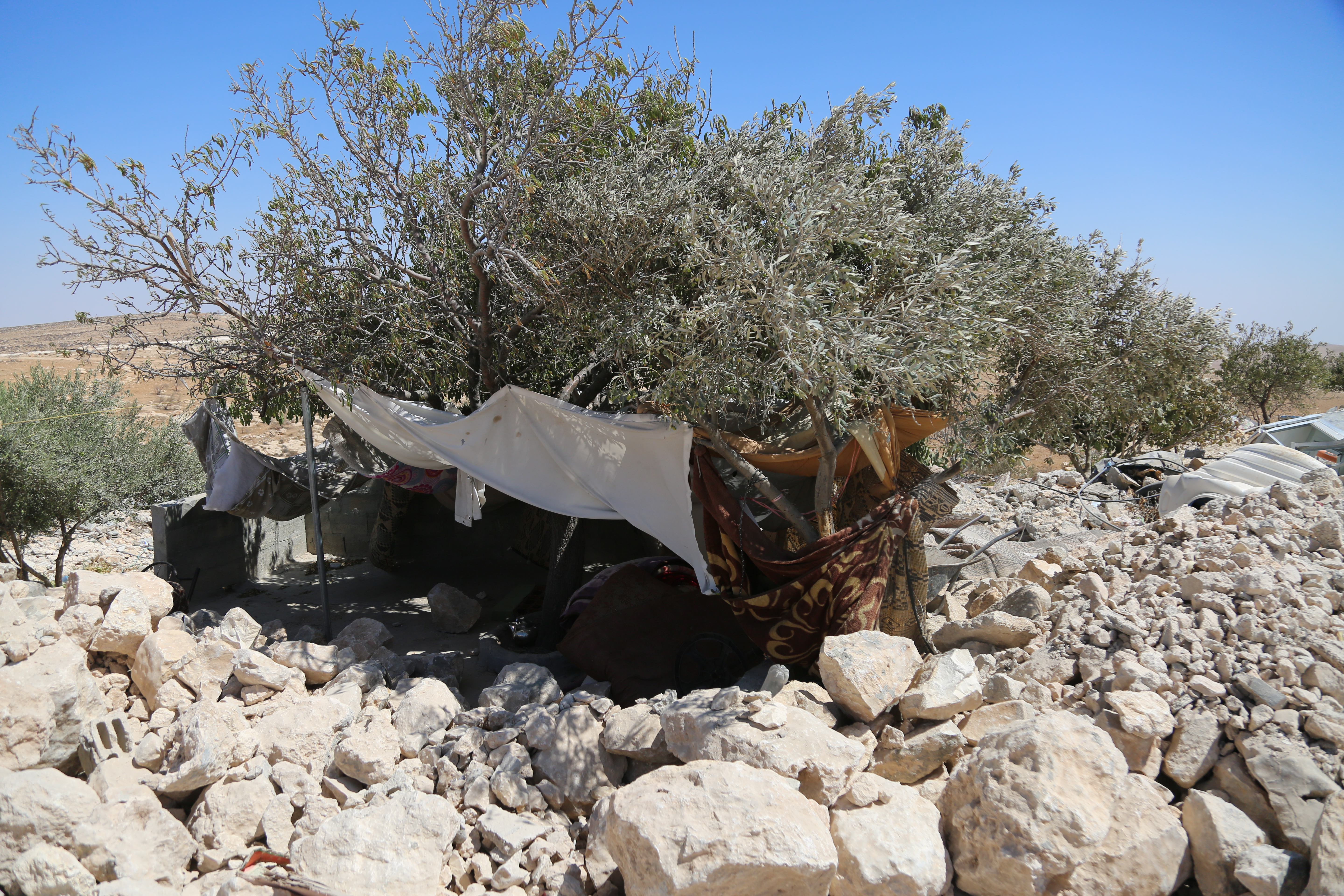 A tent pitched under a tree and next to rubble