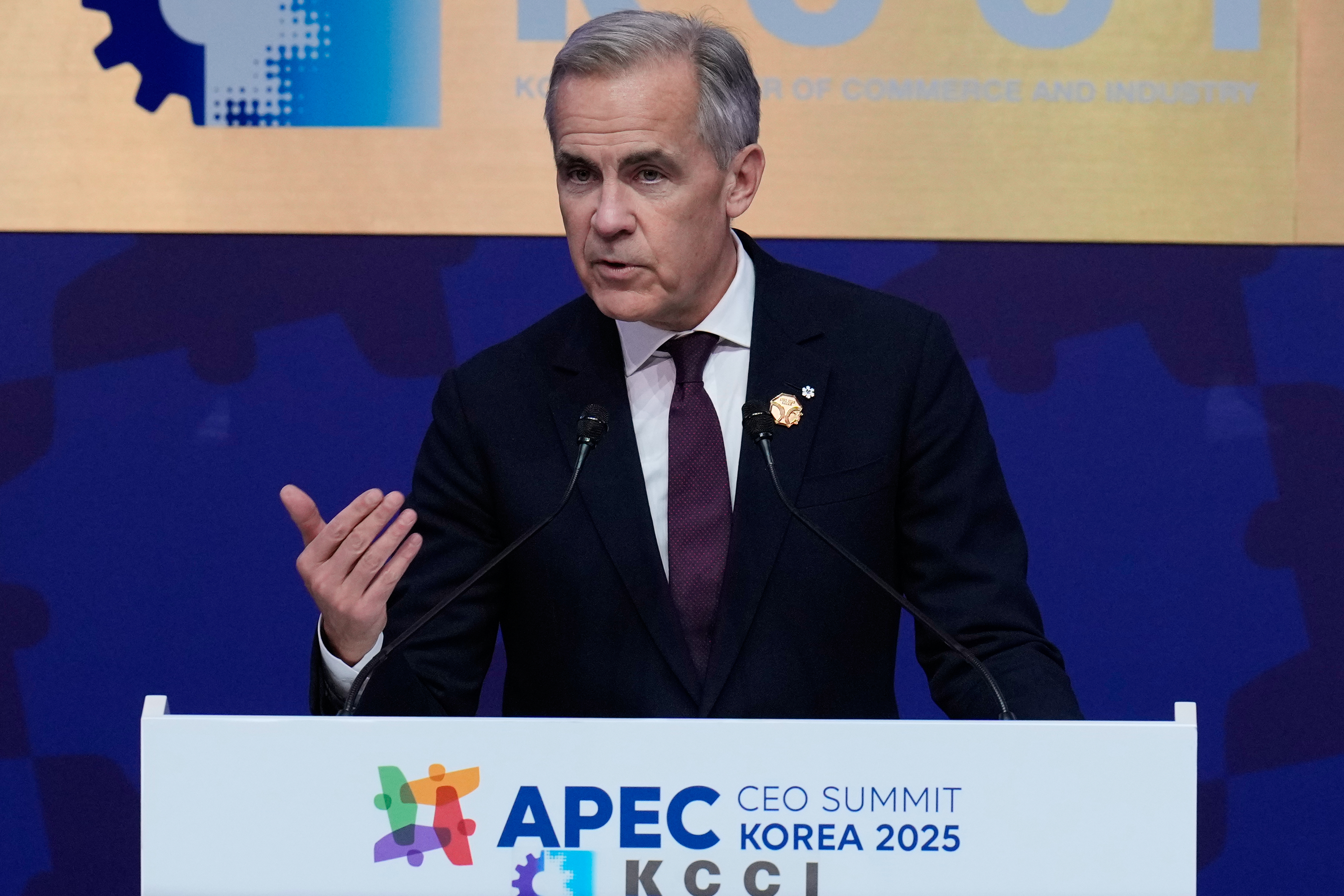 Canadian Prime Minister Mark Carney makes a keynote speech at the Asia-Pacific Economic Cooperation (APEC) CEO summit in Gyeongju, South Korea