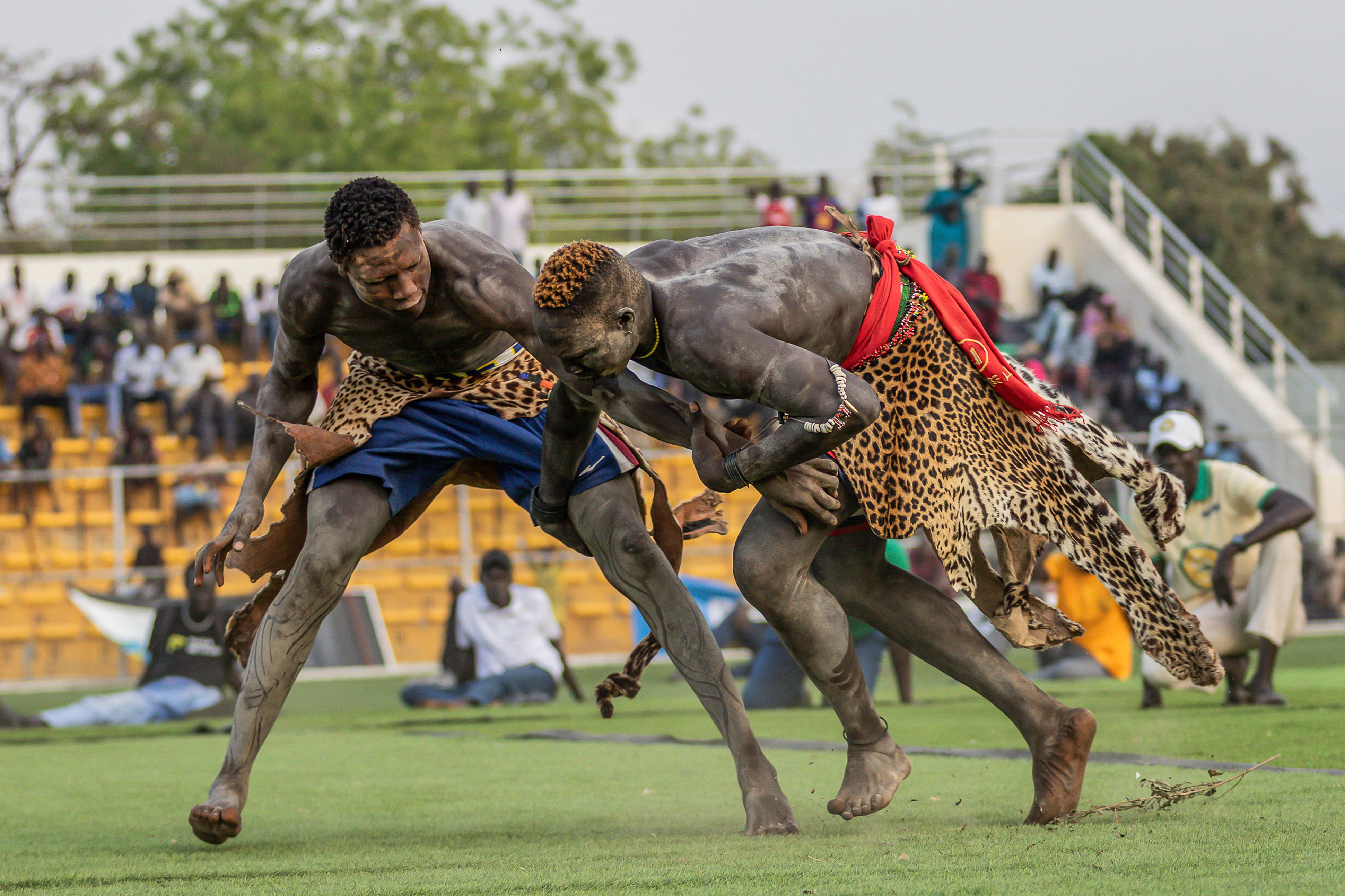Week in Pictures