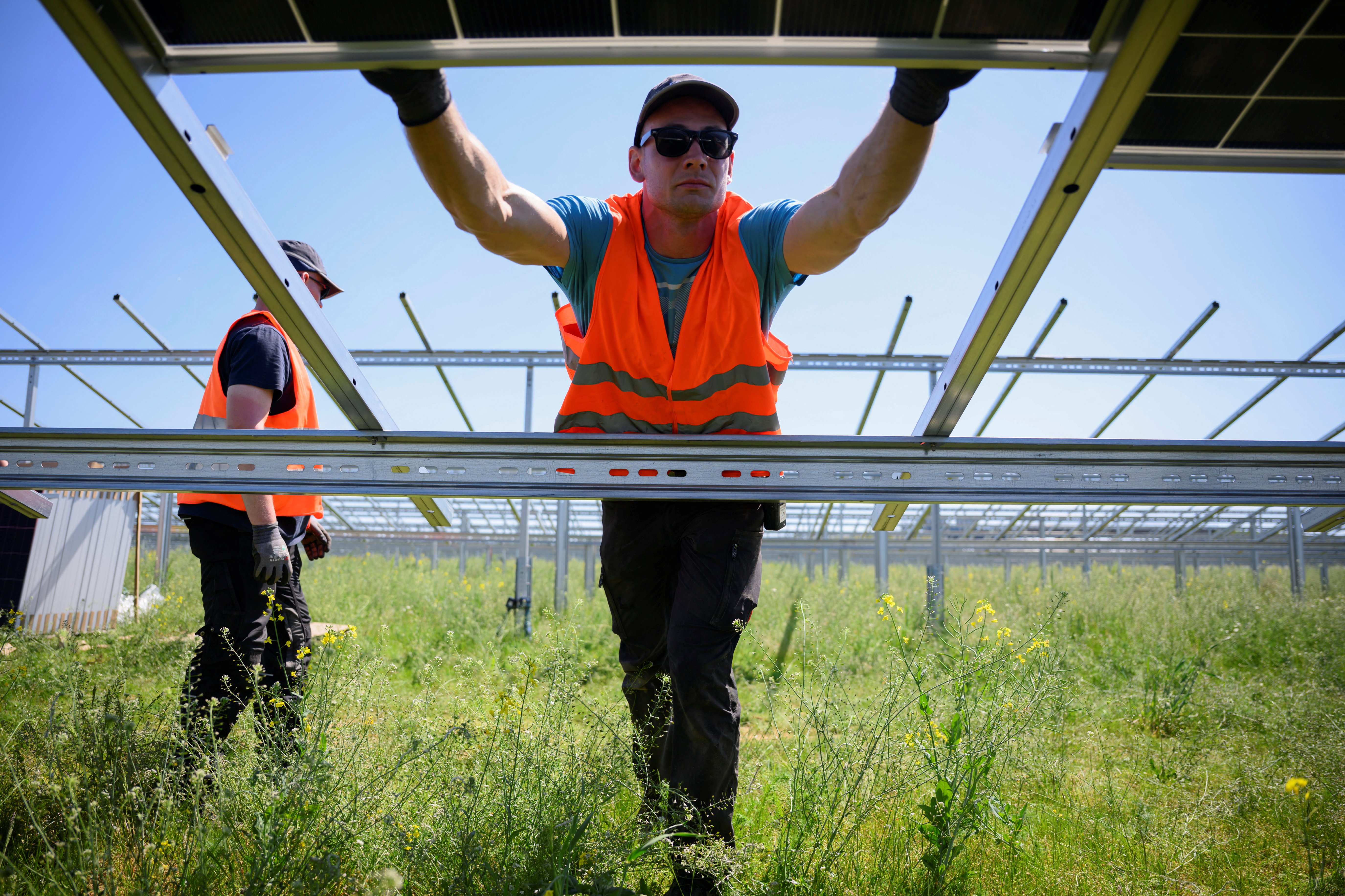 Workers set up new solar panels at a solar panel site under construction by German power supplier RWE AG which is intended to supply energy to about 27,700 German households by the end of 2025, near the A44 highway between the cities of Bedburg and Juechen Germany, May 13, 2025. REUTERS/Jana Rodenbusch  