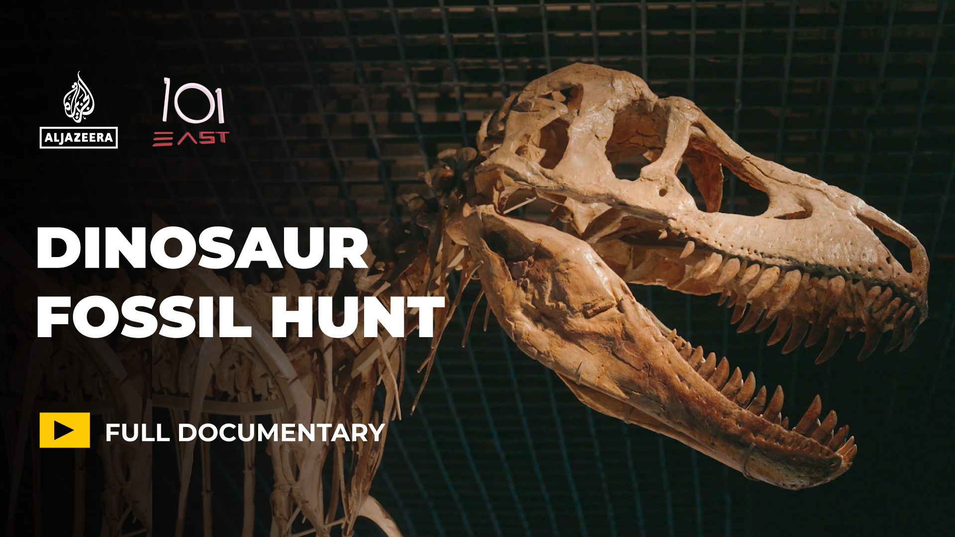 Dinosaurs for sale: Is the global fossil market harming science?