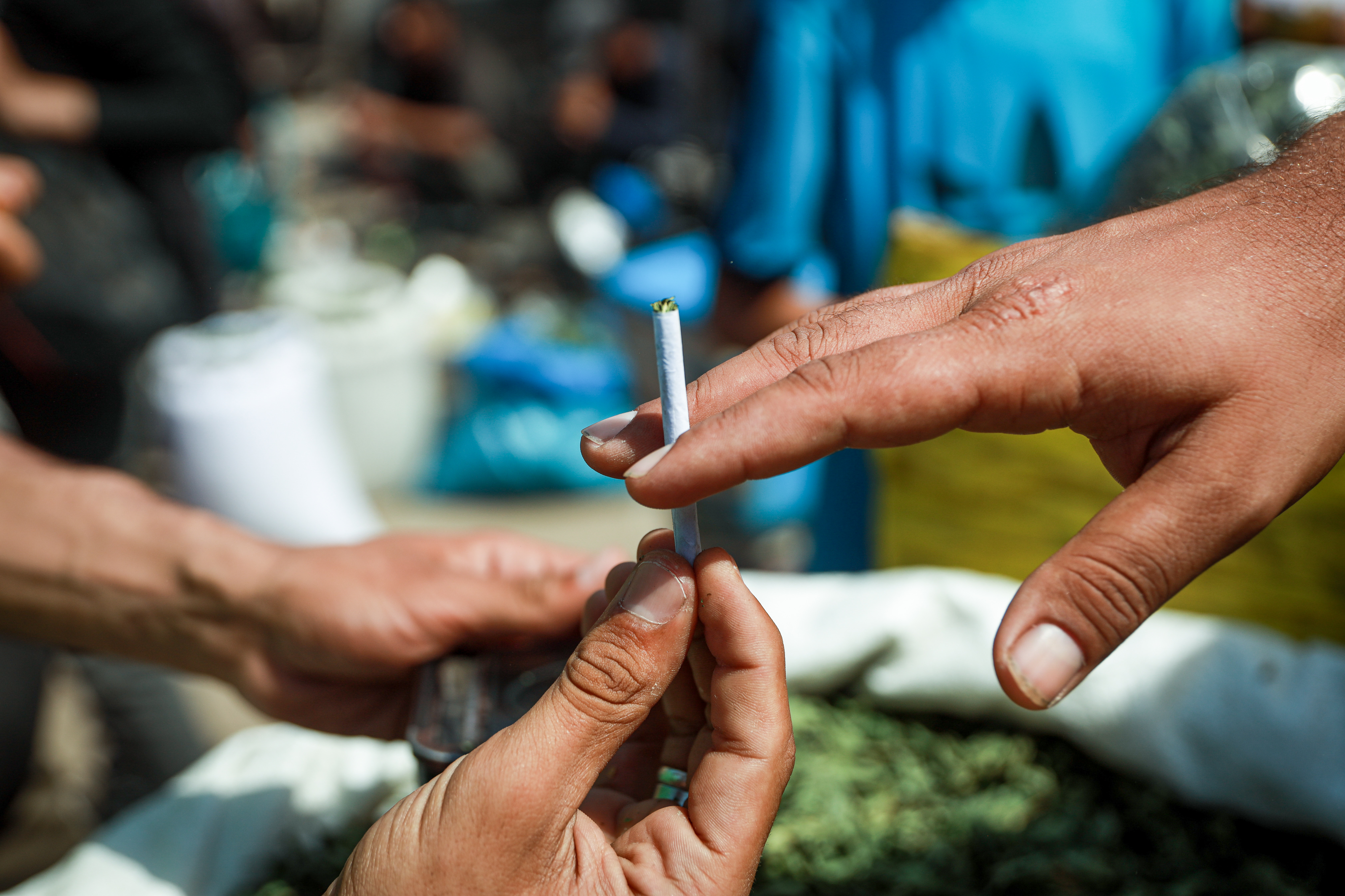 Gaza molokhia smoking