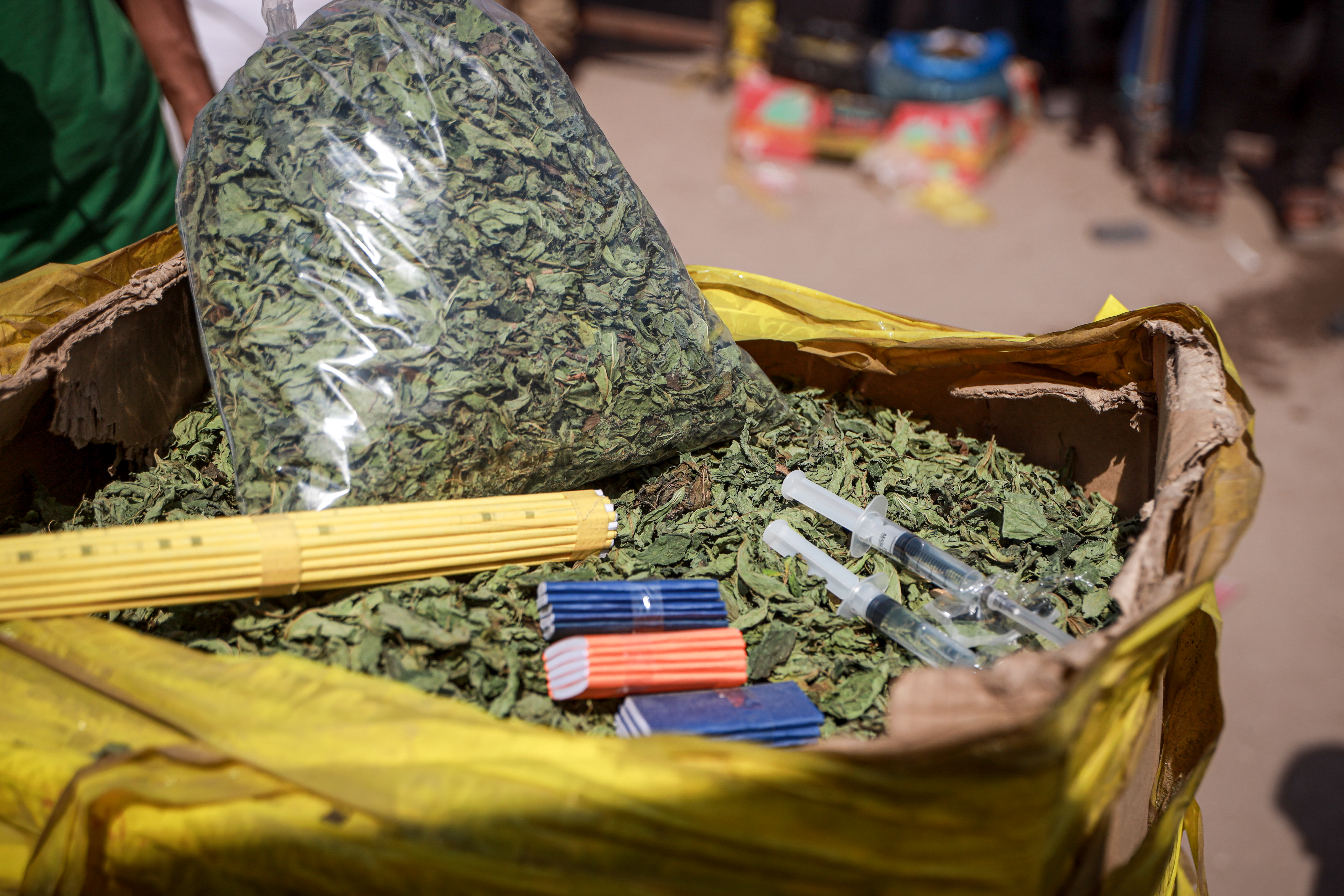 Molokhia cigarettes are made by drying and crushing leaves, then mixing them with nicotine for smoking, with no safety standards, and are not a real alternative [Abdelhakim Abu Riash/ Al Jazeera]