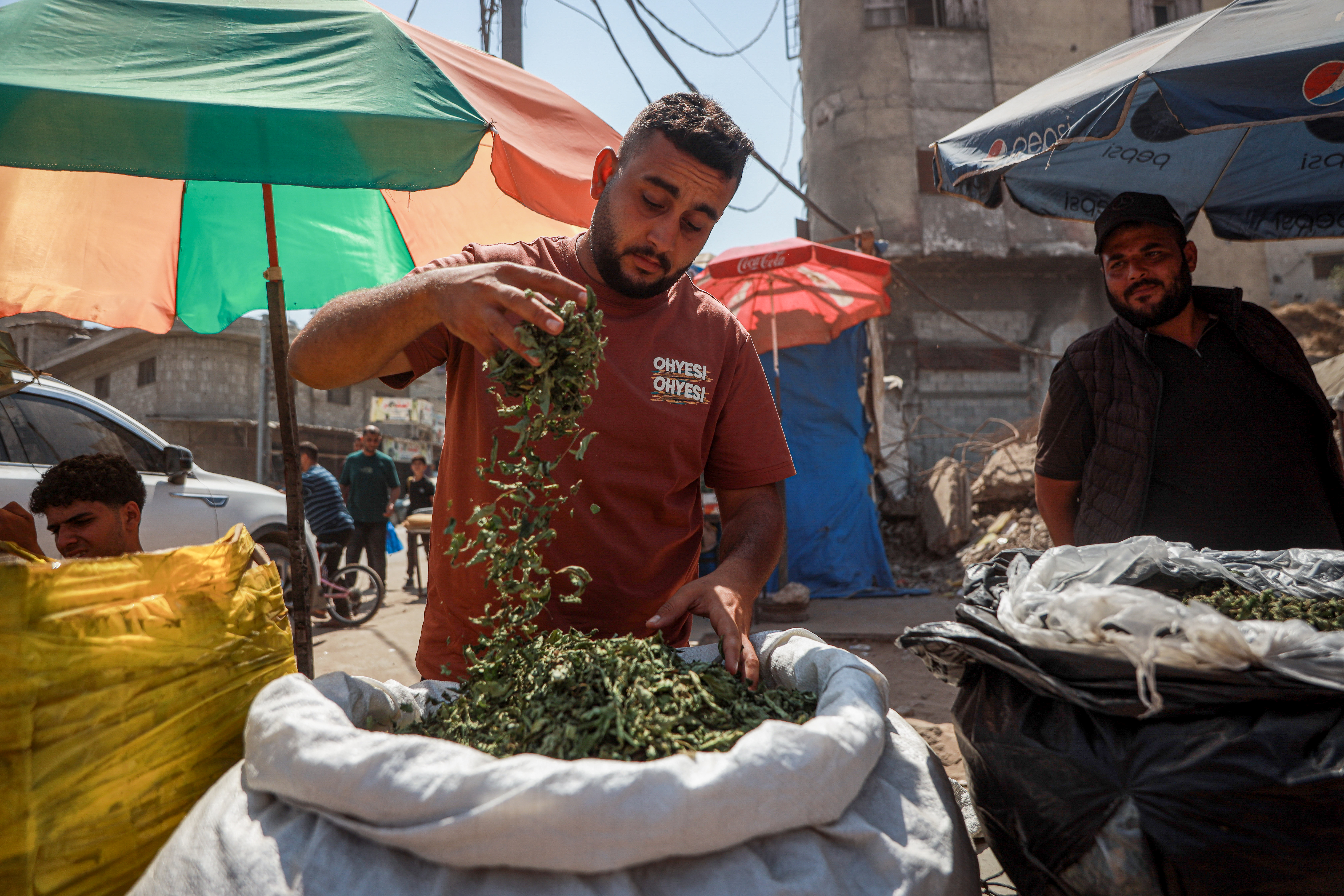 Abdul Karim Heles, a cigarette vendor, says demand for cigarettes is generally weak due to soaring prices, while molokhia as an alternative is gaining popularity because it is more affordable for people [Abdelhakim Abu Riash/ Al Jazeera]