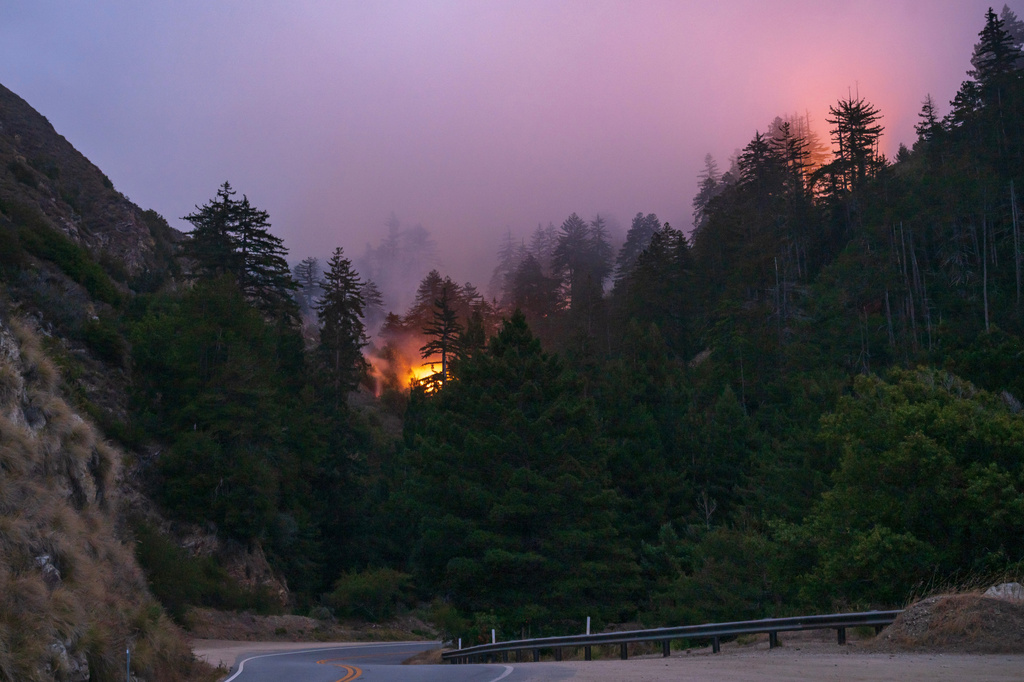 a fire glows in the forest