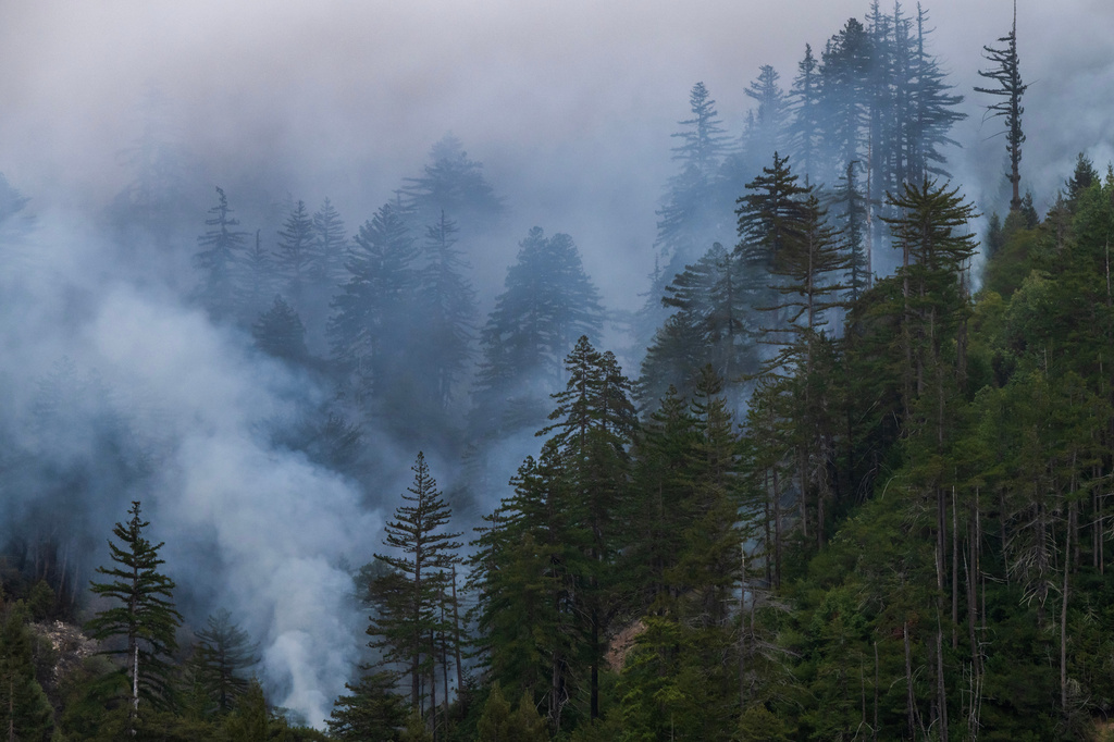 smoke billows from the forest during a fire in Big Sur
